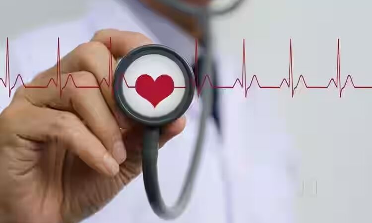 The Role of a Heart Doctor in Your Health