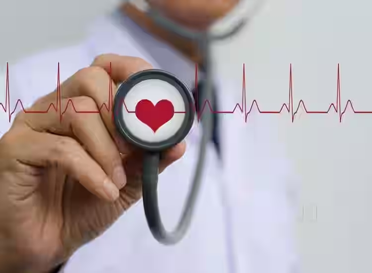 The Role of a Heart Doctor in Your Health